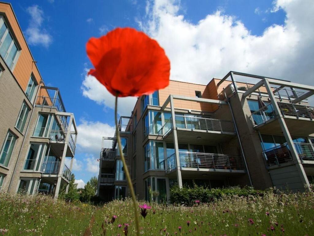 Reese Uitzicht Op De Trave Ferienhaus