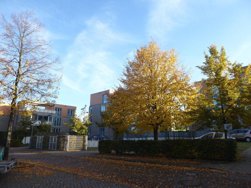 Reese Uitzicht Op De Trave Ferienhaus Lübeck