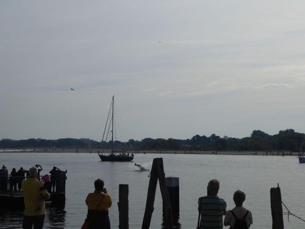 Ferienhaus Reese Uitzicht Op De Trave *